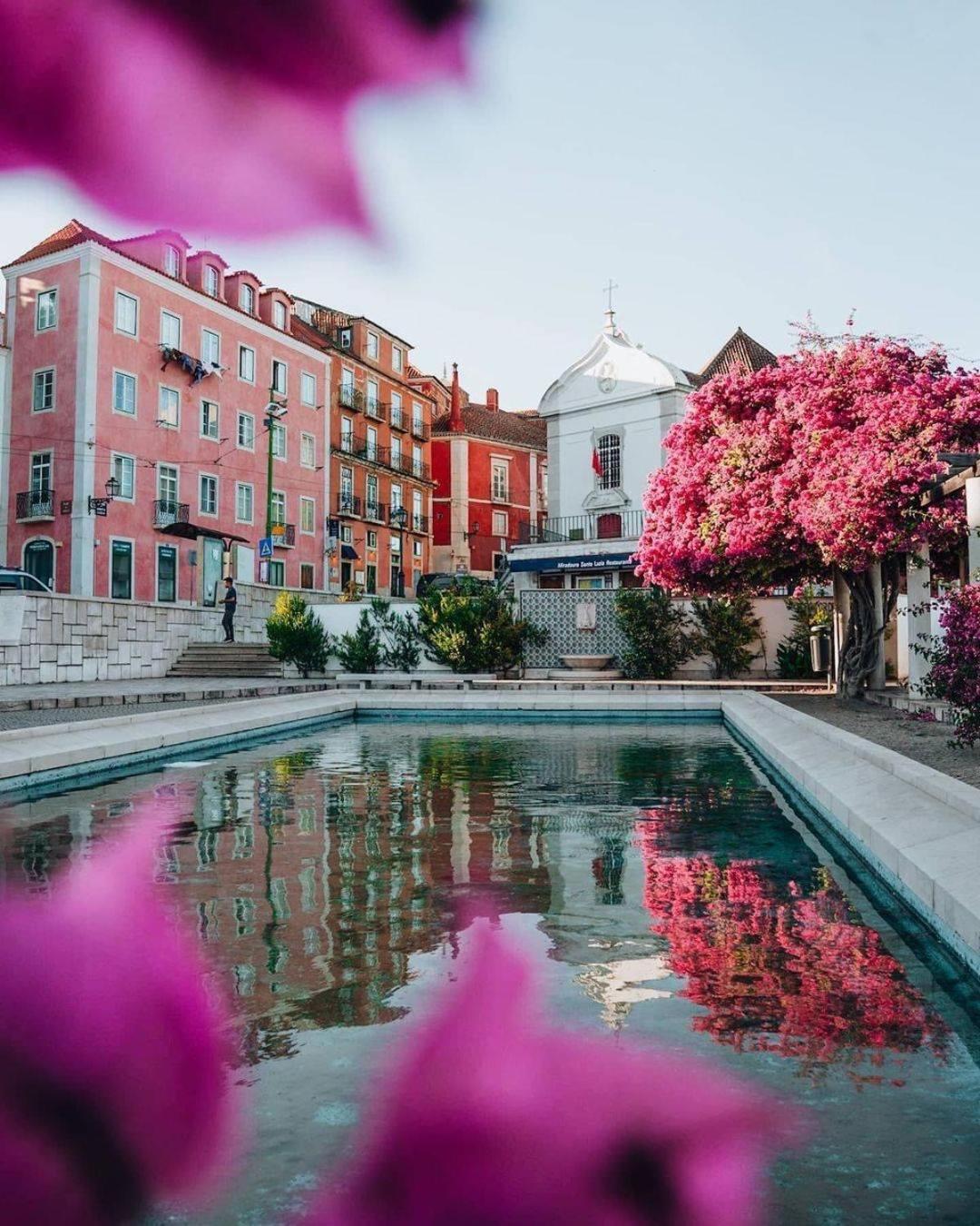 Alfama Historical Apartment 3 Bedroom Duplex Lisboa Dış mekan fotoğraf